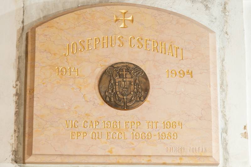 2024_04_12_elhunyt puspokok_43.jpg